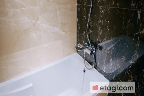 48.8m² Apartment in Downtown Dubai (Downtown Burj Dubai), UAE No. 9901 9