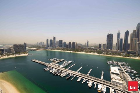 3 bedrooms Apartment in Dubai Harbour, UAE No. 165224 24