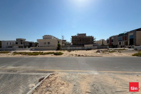 1824.5m² Land in Dubai, UAE No. 164412 5