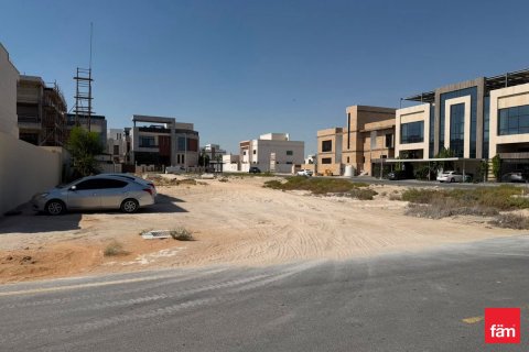 1824.5m² Land in Dubai, UAE No. 164412 7