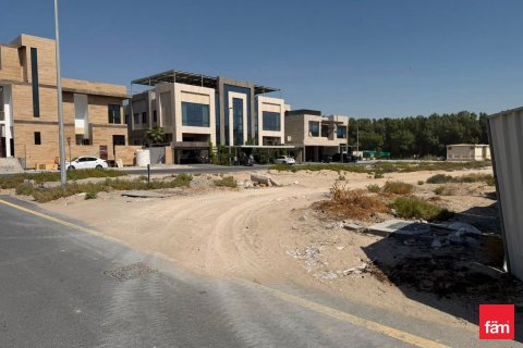 1824.5m² Land in Dubai, UAE No. 164412 6