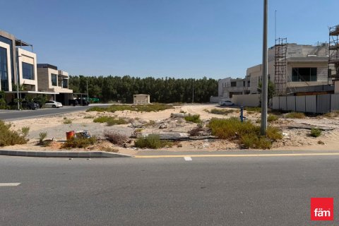 1824.5m² Land in Dubai, UAE No. 164412 8