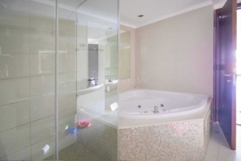2 bedrooms Apartment in World Trade Centre Residence, UAE No. 164597 24