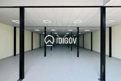 766.45مربع، مستودع في Al Quoz Industrial Area, الإمارات العربية المتحدة رقم 184964