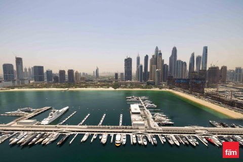 3 غرف نوم شقة في Dubai Harbour, الإمارات العربية المتحدة رقم 165068 27