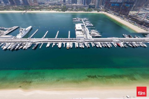 3 غرف نوم شقة في Dubai Harbour, الإمارات العربية المتحدة رقم 165068 25