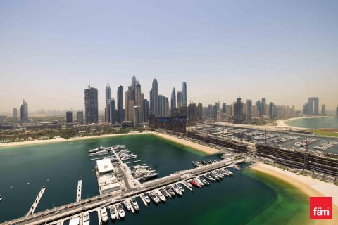 3 غرف نوم شقة في Dubai Harbour, الإمارات العربية المتحدة رقم 165068 28