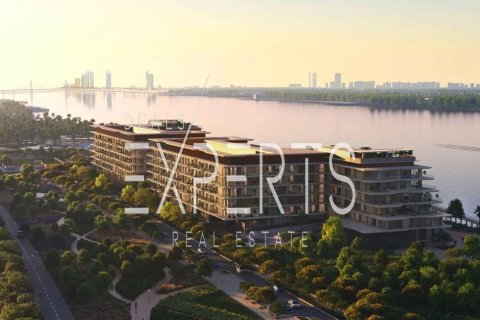 1 bedroom Apartment in Al Hudayriat Island, UAE No. 167754