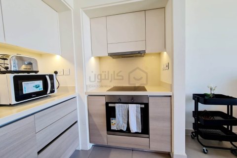 2 bedrooms Apartment in Al Dair, Bahrain No. 58643 4