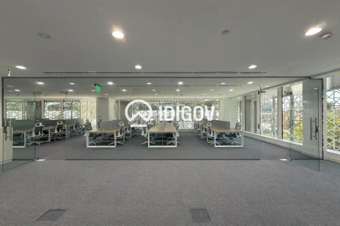 353.22m² Office in Downtown Dubai (Downtown Burj Dubai), UAE No. 199284 4