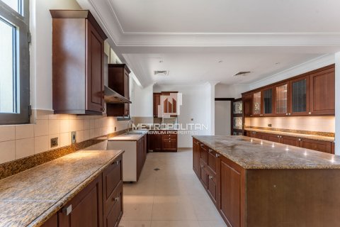 Villa de 5 chambres à Signature Villas, UAE No. 128326 24