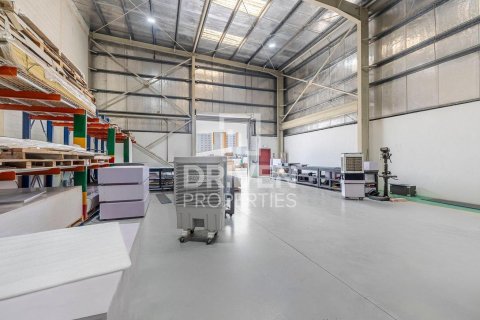 2393.37مربع، مستودع في جبل علي, الإمارات العربية المتحدة رقم 193851 13