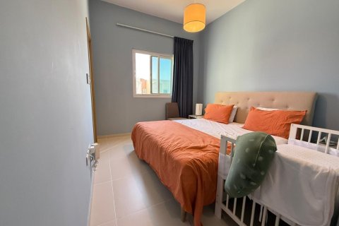 3 bedrooms Villa in Villanova, UAE No. 166155 5