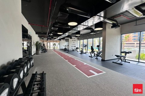 Квартира с 1 спальней в Majan, ОАЭ №117554 14
