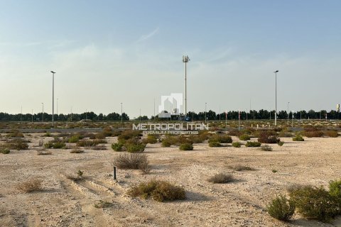Land de 947m² à Jebel Ali, UAE No. 78803 17