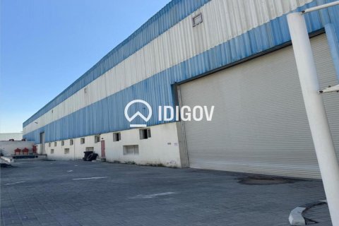 Warehouse de 6131.6m² à Jebel Ali, UAE No. 185278 3