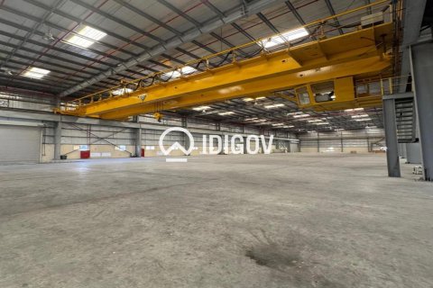Warehouse de 6131.6m² à Jebel Ali, UAE No. 185278
