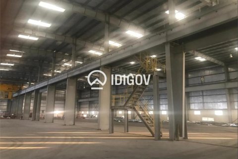 Warehouse de 6131.6m² à Jebel Ali, UAE No. 185278 4