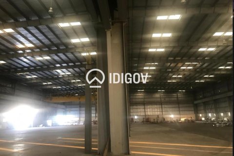 Warehouse de 6131.6m² à Jebel Ali, UAE No. 185278 8