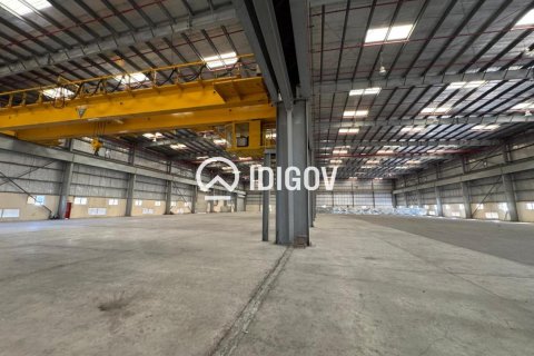 Warehouse de 6131.6m² à Jebel Ali, UAE No. 185278 9