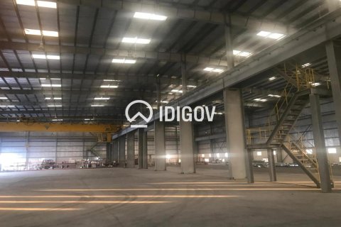 Warehouse de 6131.6m² à Jebel Ali, UAE No. 185278 5
