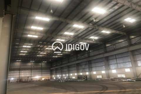 Warehouse de 6131.6m² à Jebel Ali, UAE No. 185278 6