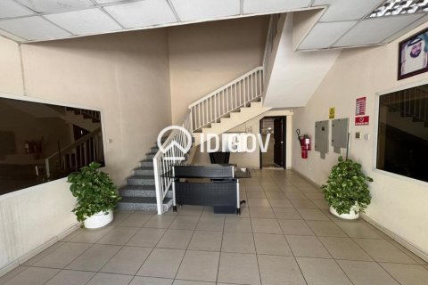Warehouse de 6131.6m² à Jebel Ali, UAE No. 185278 7