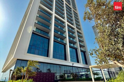 Studio Apartment in Dubai, UAE No. 210771