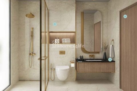6 bedrooms Villa in The World Islands, UAE No. 166117 13