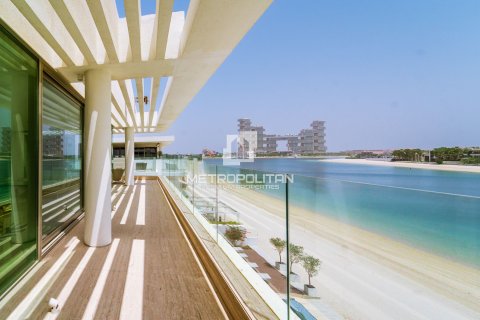 10 غرفة نوم فيلا في Signature Villas, الإمارات العربية المتحدة رقم 128415 14