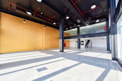 Commercial property de 290.8m² à Phase 2, UAE No. 47586