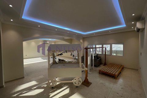 8 غرفة نوم  فيلا في الدوحة, Qatar رقم 57977 4
