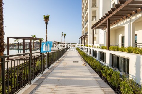 54.2m² Apartment on the Yas Island, UAE No. 141105 25