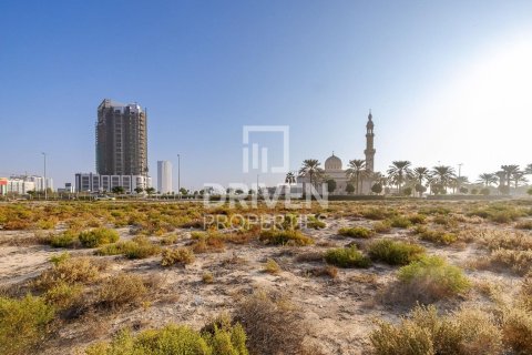 2173.93مربع، قطعة أرض في Majan, الإمارات العربية المتحدة رقم 207244
