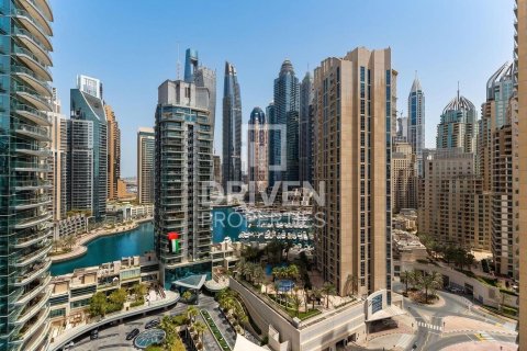 استوديو شقة في مرسى دبي, الإمارات العربية المتحدة رقم 193767 3