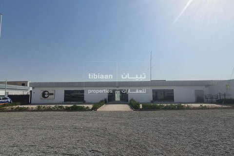 Factory de 2500m² en Al Misfah, Oman No. 53952 3
