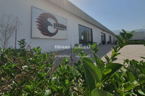 Factory de 2500m² en Al Misfah, Oman No. 53952 8