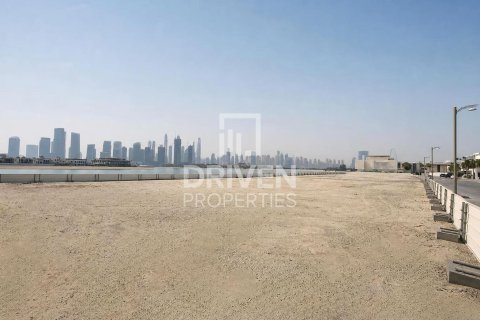 2523.06m² Land in Palm Jumeirah, UAE No. 209361