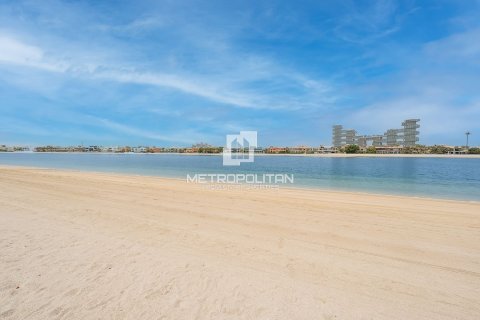 7 bedrooms Villa in Signature Villas, UAE No. 128737 31
