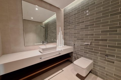 Apartment de 2 dormitorios en Tourist Club Area, UAE No. 36670 28