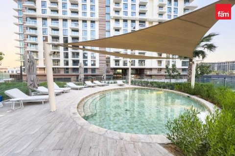2 bedrooms Apartment in City Walk, UAE No. 188340 24