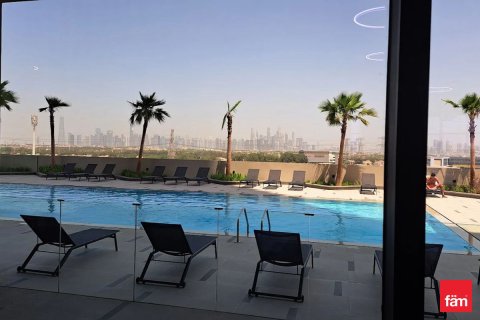 Studio Apartment in Dubai, UAE No. 169950