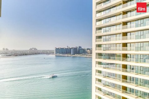 2 bedrooms Apartment in Dubai Harbour, UAE No. 208344 20