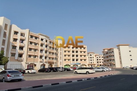 1222.6m² Building in International City, UAE No. 4520 6