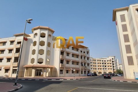 1222.6m² Building in International City, UAE No. 4520 12
