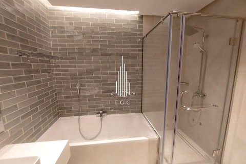 2 bedrooms Apartment in Tourist Club Area, UAE No. 34770 12