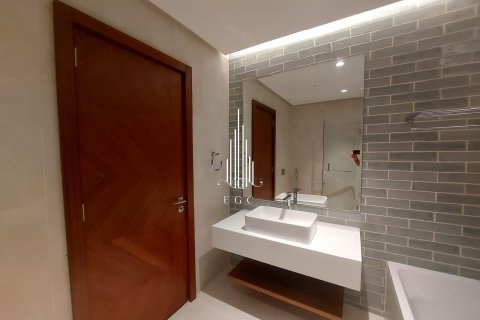 2 bedrooms Apartment in Tourist Club Area, UAE No. 34770 22