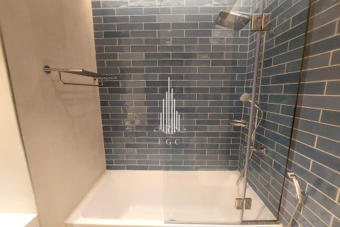 2 bedrooms Apartment in Tourist Club Area, UAE No. 34770 23