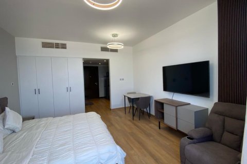 Studio Apartment in Ras Al Khaimah, UAE No. 183738