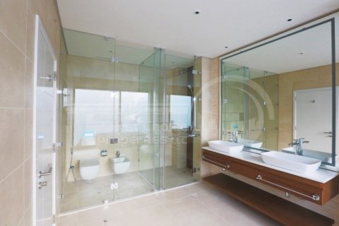 5 bedrooms Villa on the Saadiyat Island, UAE No. 12691 11